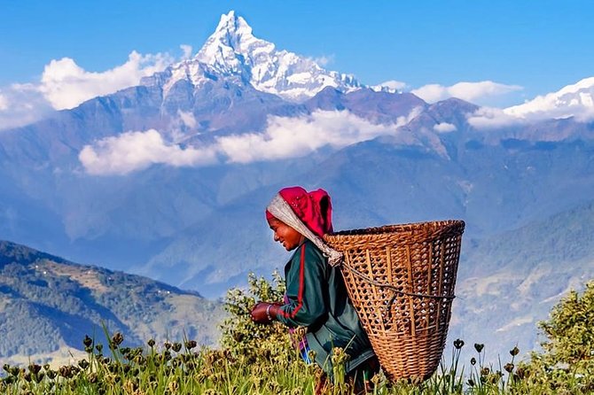 Private Full-Day Hike in the Annapurna Foothills in Pokhara - Forest paths and the climb toward Dhampus