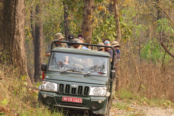 Private Jeep Safari (8-10 hrs.)inside Chitwan National Park. - Why the private Jeep format matters