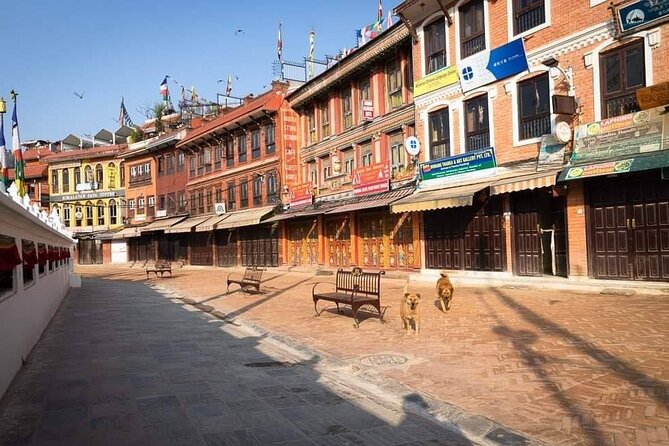 Private Tour of 4 UNESCO Heritage Sites in Kathmandu by Car - Who will get the most from this tour