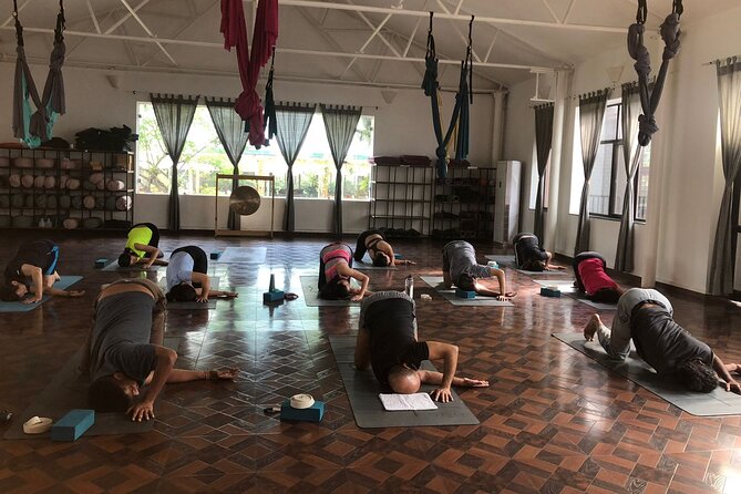 Regular Yoga for all levels of practitioners in Kathmandu - Is $2,506 Good Value for 75 Minutes?