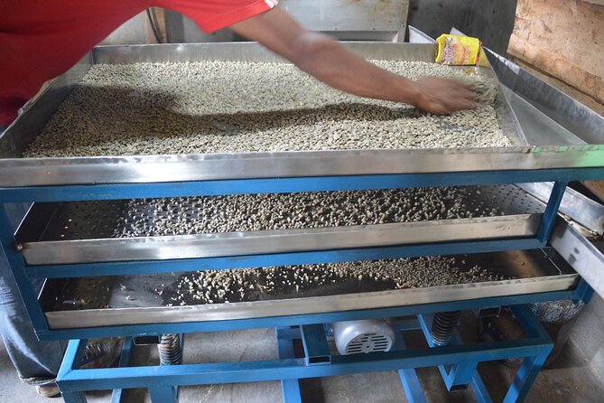 Sarangkot Village Coffee Culture and Authentic Local Life Tour - Khapaudi Marks the Start of the Climb