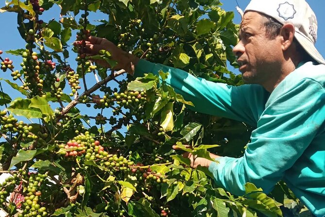 Sarangkot Village Coffee Culture and Authentic Local Life Tour - A Women-Led Community Project With a Clear Purpose