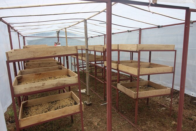 Sarangkot Village Coffee Culture and Authentic Local Life Tour - Pandeli Park Gives You the Big View