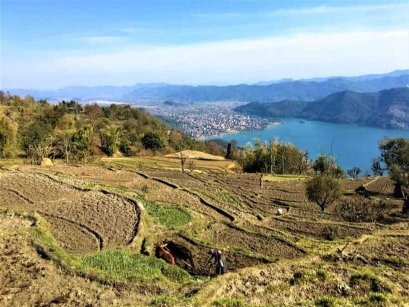 Seti George and Thrilling Suspension Bridge Tour at Pokhara - Timing, Flexibility, and Cancellation
